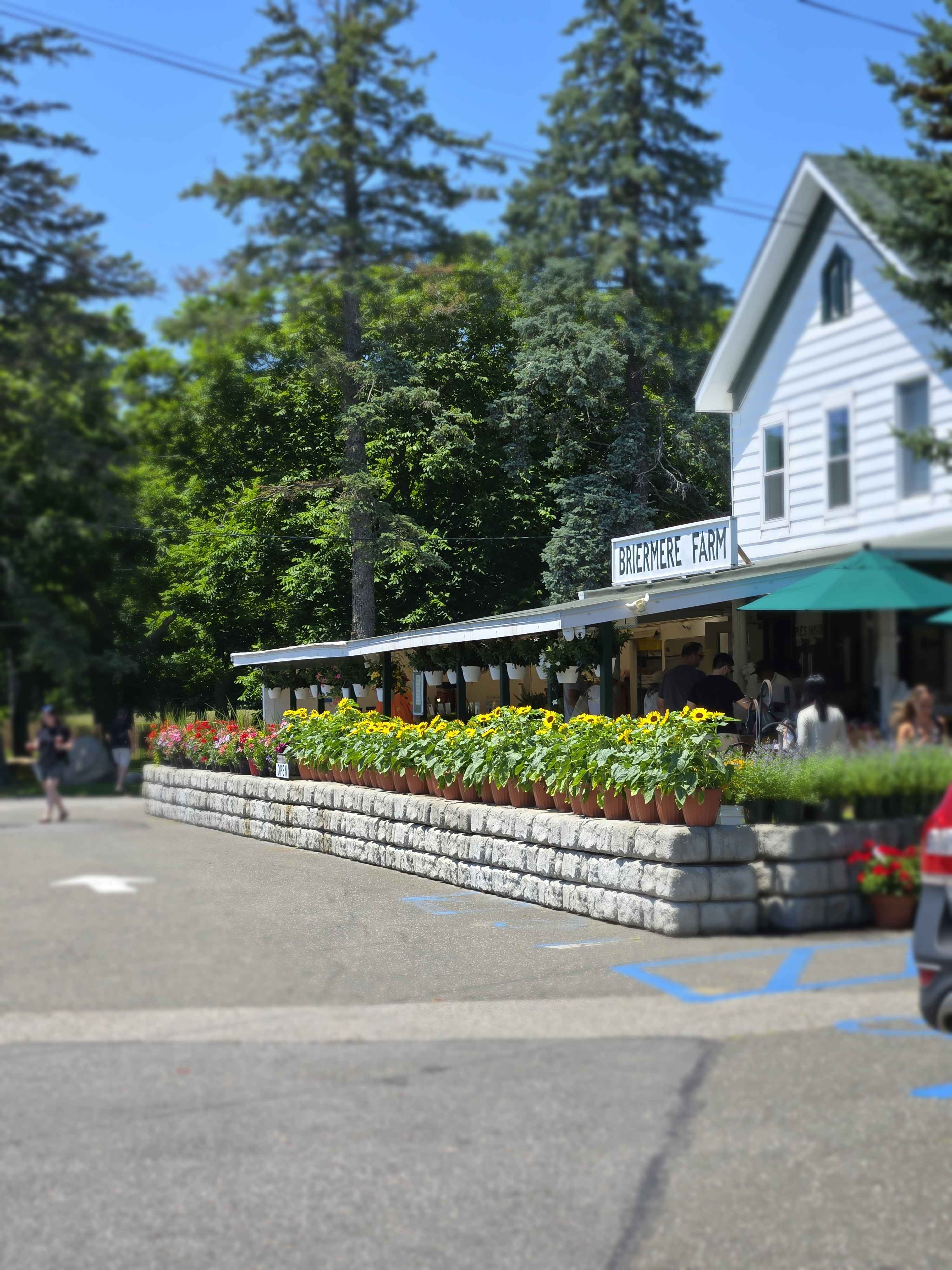 Briermere Farms in Riverhead, NY